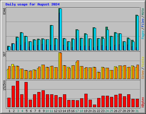 Daily usage for August 2024