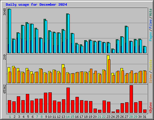 Daily usage for December 2024