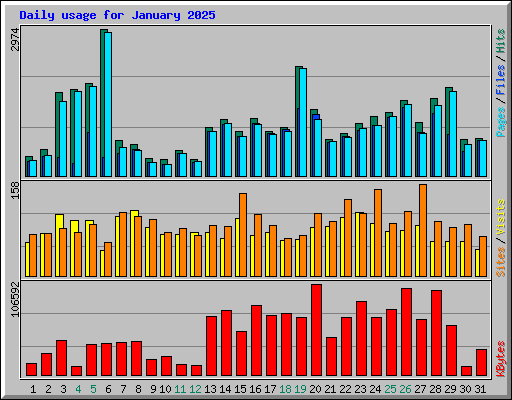 Daily usage for January 2025