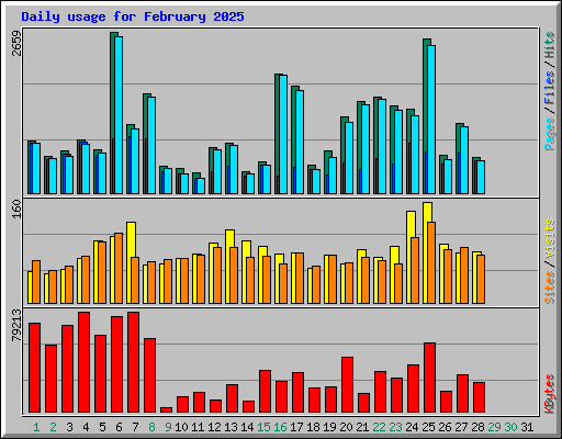 Daily usage for February 2025