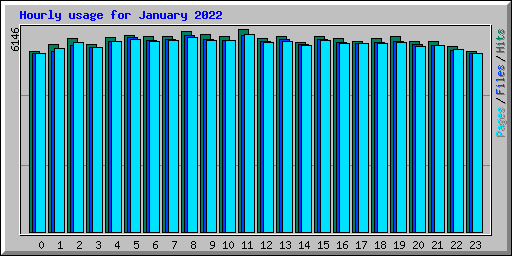 Hourly usage for January 2022