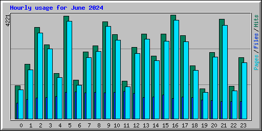 Hourly usage for June 2024