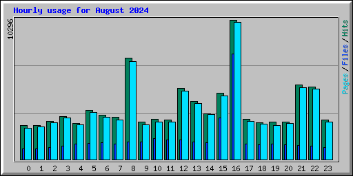 Hourly usage for August 2024