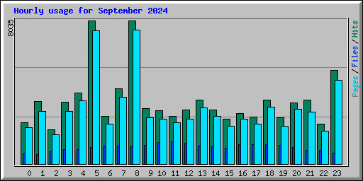 Hourly usage for September 2024