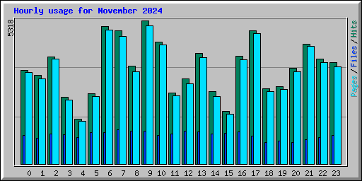 Hourly usage for November 2024
