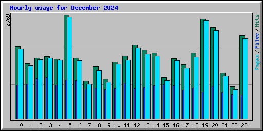 Hourly usage for December 2024
