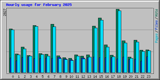 Hourly usage for February 2025