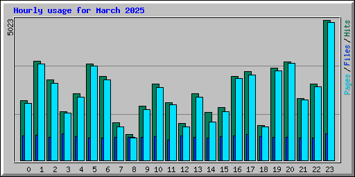 Hourly usage for March 2025