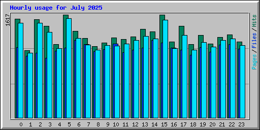 Hourly usage for July 2025