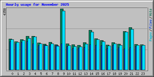 Hourly usage for November 2025