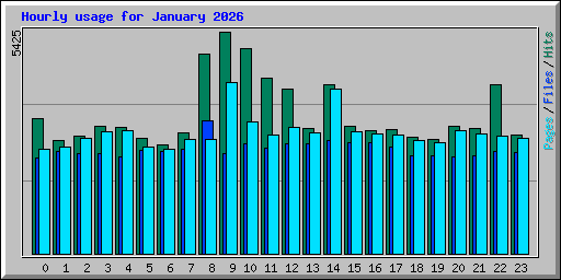 Hourly usage for January 2026